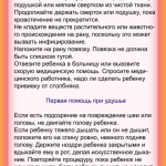 img_5312.png